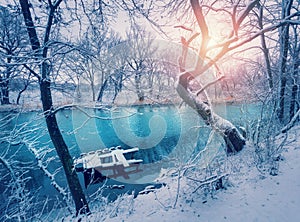Winter forest on the river at sunset. Colorful landscape with snowy trees