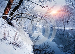 Winter forest on the river at sunset. Colorful landscape with snowy trees