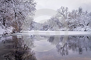 Winter forest by the river. Very beautiful natural background.