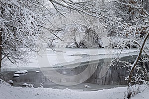 Winter forest by the river. Very beautiful natural background.