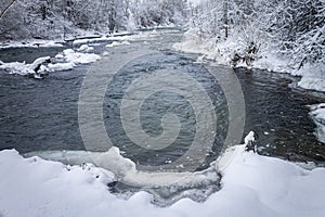 Winter forest by the river. Very beautiful natural background.