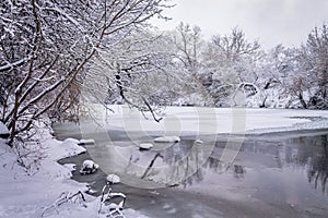 Winter forest by the river. Very beautiful natural background.