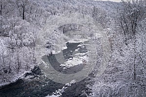 Winter forest by the river. Very beautiful natural background.