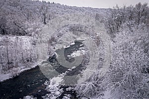 Winter forest by the river. Very beautiful natural background.