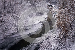 Winter forest by the river. Very beautiful natural background.