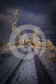 Winter forest road in the mountains