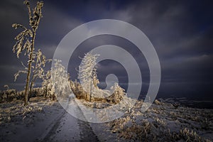 Winter forest road in the mountains