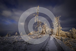 Winter forest road in the mountains