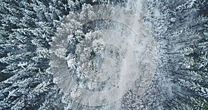 Winter forest road top down aerial view. Snow covered pine trees, snowy wood. Nature background