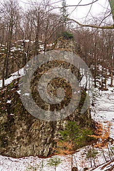 Winter forest with rock formations in Mala Fatra mountains in Slovakia