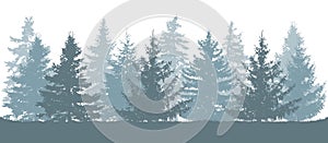 Winter forest, silhouette of spruces. Vector illustration