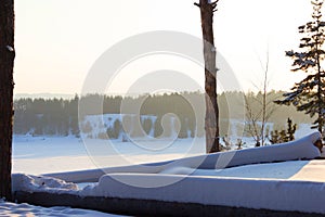 Winter forest after snow bizzard