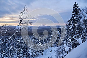 Winter forest with snow-covered fir trees high in the mountains. Dawn with bright colors on the horizon far away in the mountains