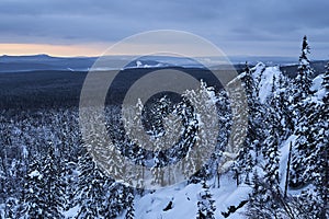 Winter forest with snow-covered fir trees high in the mountains. Dawn with bright colors on the horizon far away in the mountains