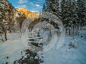 Winter forest snow river flow landscape. Forest river flow in winter snow forest scene. Winter snow river forest view