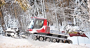 Winter forest with snow thrower