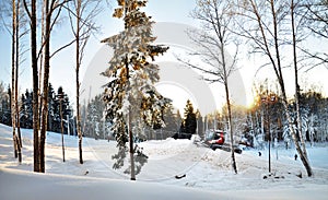 Winter forest with snow thrower