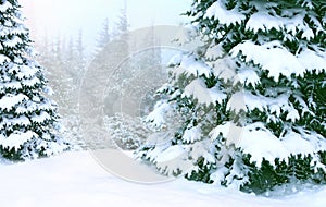 Winter forest with spruces covered with snow in forest. Happy Christmas eve