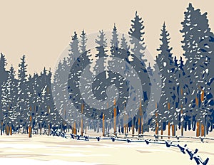 Winter Forest of Subalpine Fir and Limber Pine in Echo Lake Colorado WPA Poster Art