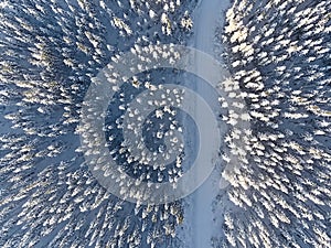 Winter forest in Sweden, shot with a drone from above