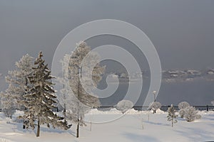 Winter forest with trees covered snow on river background. White frost park landscape.