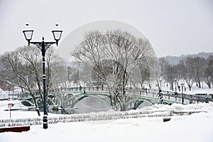 Winter forest, trees under the snow.