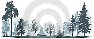 Winter forest vector illustration. Isolated trees silhouette