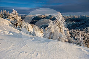 Winter forest in Velka Fatra in Slovakia. Mountain winter landscape from the top of Ostra.