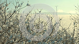 Winter in the forested mountain area of the Polish-Czech border.