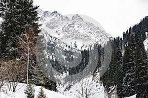 winter forested mountains in asia