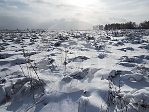Winter fragmentary landscape.
