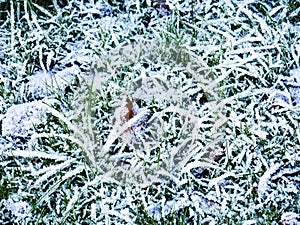 Winter frost in Burnley Lancashire England