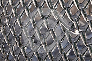 Ice pattern on the fence