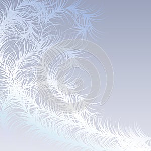 Winter frost pattern - vector illustration