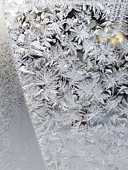 Winter frost patterns on glass