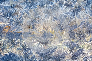 Winter Frost Patterns on Window