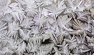 Winter frostwork on window glass