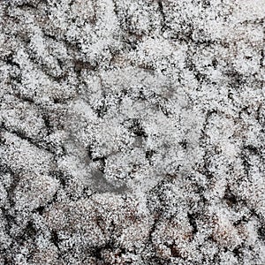 Ice crystals on a stone in a square. photo