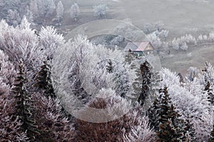 Winter frosty landscape of the beautiful Transylvanian village