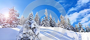 Winter frosty sunny day in the snowy landscape in Tatras mountains. Magic snow tree. Happy New year and Christmas concept.