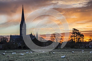 Winter frosty sunrise landscape Salisbury cathedral city in England