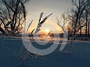 Winter frosty sunset over the frozen snow-covered river 1