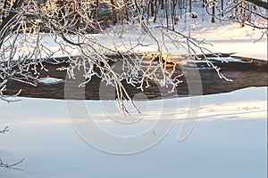 Winter frosty time in January with white snow, hoarfrost on tree branches, a flowing river that does not freeze.