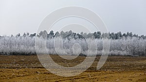 Winter frozen, frosty rural landscape.