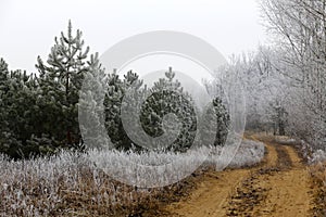 Winter frozen, frosty rural landscape.