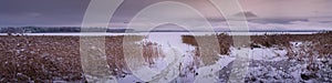 winter frozen lake with coastal reed and footpath under cloudy sky at evening twilight. widescreen panoramic view photo