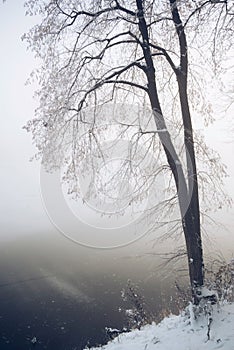 Winter frozen lake in fog