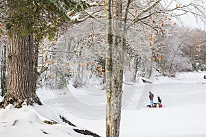 Winter frozen lake in the forest. USA. Maine. Family engaged in ice-cold winter fishing in the background. Traditional winter hobb