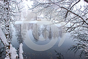 Winter frozen pond surrounded by trees in the snow.