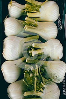 Winter fruit and veggies in italian food market